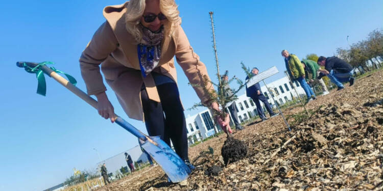 EAttachments90026908efbb36abce1de90cb15c528c6f4fe58 xl