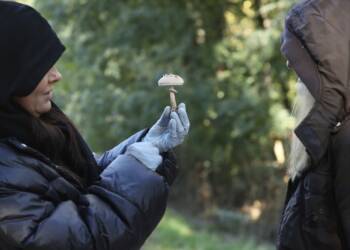 EAttachments90031858484a2fca3a4006cc237103b7531211a xl