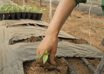 EAttachments900491254a3a42907369faabebf2022678b8b1e xl