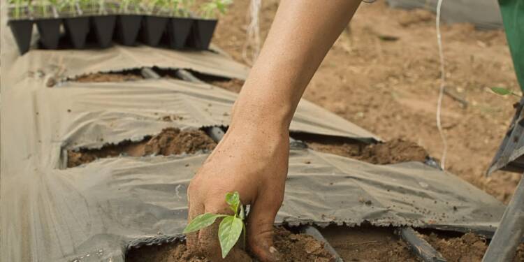 EAttachments900491254a3a42907369faabebf2022678b8b1e xl