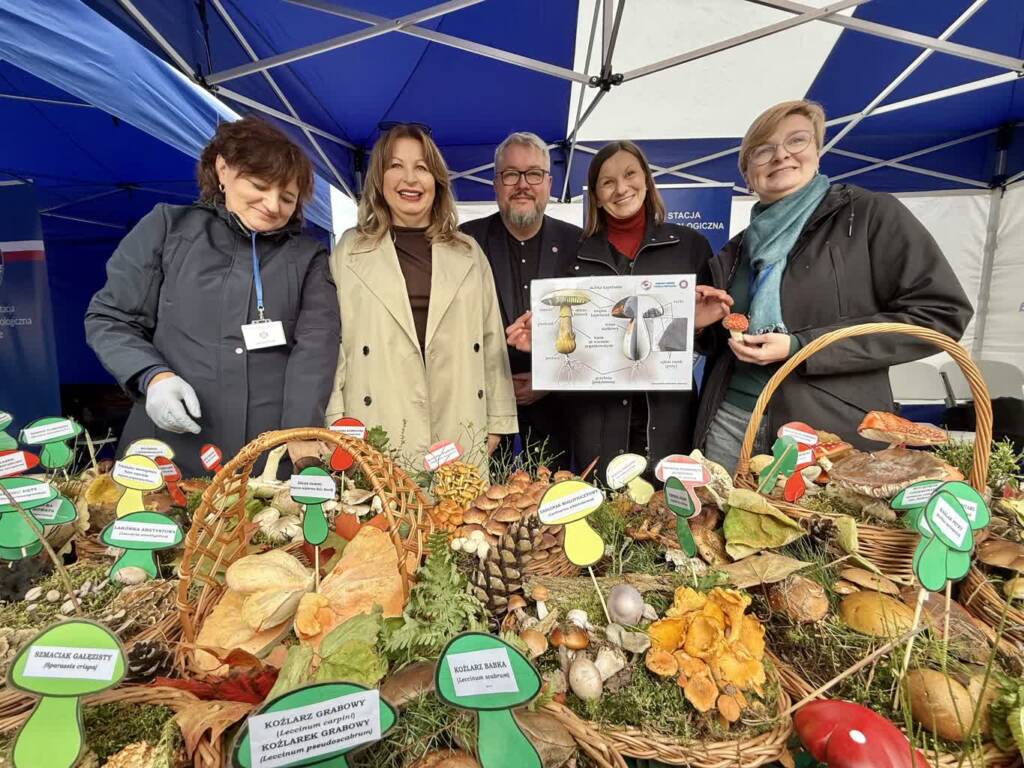 Jak uniknąć zatrucia grzybami? Wystawa i porady na placu Litewskim 1 EAttachments900536058d4c7d511d95893464763dde5d97b24 xl