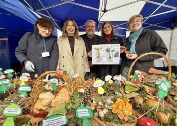 EAttachments900536058d4c7d511d95893464763dde5d97b24 xl