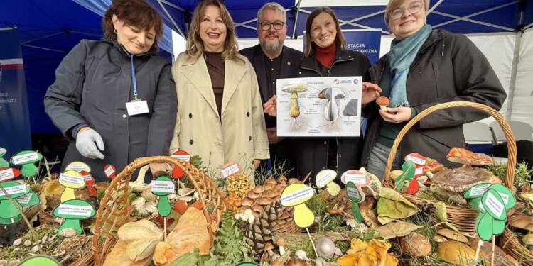 EAttachments900536058d4c7d511d95893464763dde5d97b24 xl