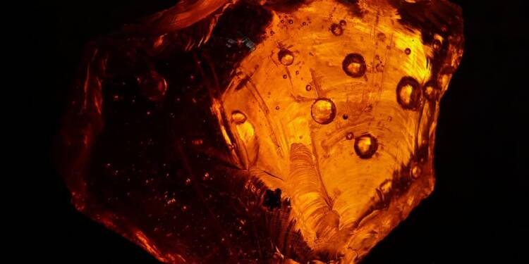 EAttachments90055953840d10cc5845d1d5a0fc027d305a78a xl