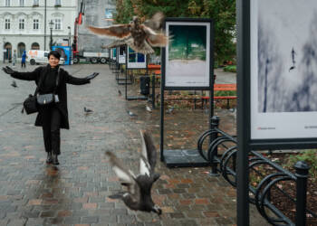 EAttachments900825048c1344b50e856abf67a04f88276d522 xl