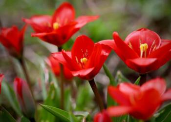 EAttachments9008261434fddf6e5f0ce96145000145948fb6e xl