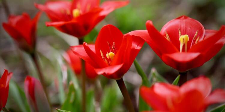 EAttachments9008261434fddf6e5f0ce96145000145948fb6e xl