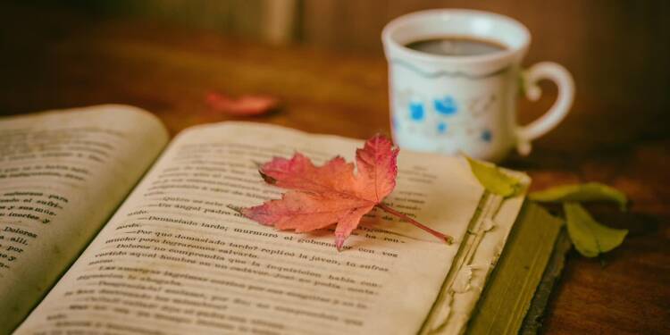 EAttachments900827933bd8a90a4a5d548344e49ddecd96bdf xl