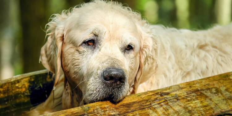 EAttachments9008314f43cf6a8e29263b6350f666ad5b3f934 xl