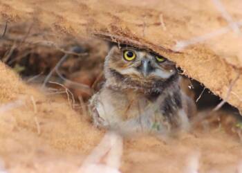 EAttachments90084351cb41122f8921ebe1648e004a3ee73ae xl