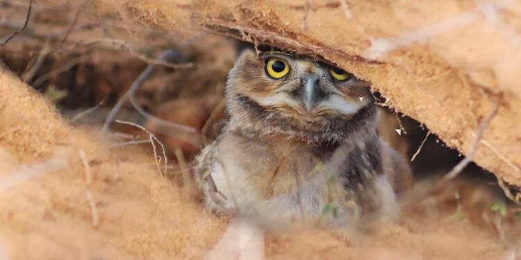 EAttachments90084351cb41122f8921ebe1648e004a3ee73ae xl