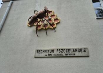 EAttachments9008801af1c67d0288b4a95108c4b579e7978fc xl