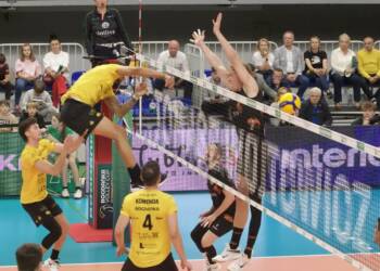 EAttachments9009523149bf253a0804fb019817527fad10183 xl