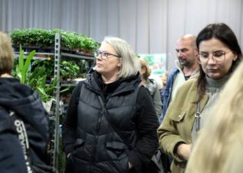 EAttachments9009598455d9e50d928ea883bdca06c43e239df xl