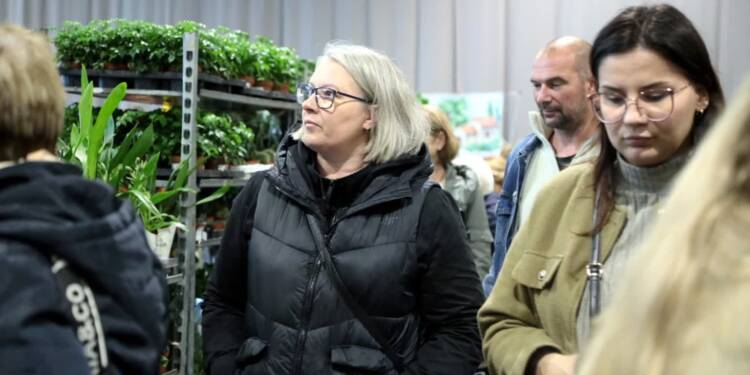 EAttachments9009598455d9e50d928ea883bdca06c43e239df xl