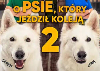 EAttachments901124273fdc69fb88c44d2a98d94e74186ecd3 xl