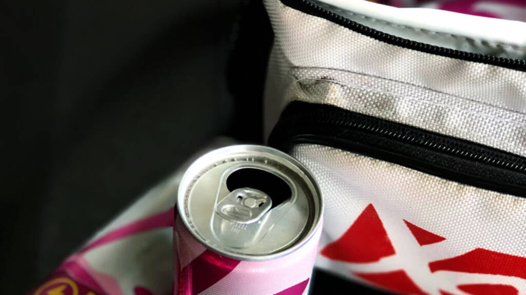 EAttachments901199212808098c4da775b80146dc741dec353 xl