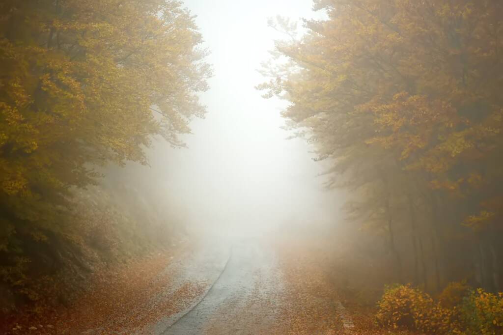 Jesienne mgły – jak poprawić widoczność za kierownicą? 1 EAttachments9012410b9fb9d37bdf15a699bc071ce49baea53 xl