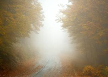 Jesienne mgły – jak poprawić widoczność za kierownicą? 9 EAttachments9012410b9fb9d37bdf15a699bc071ce49baea53 xl