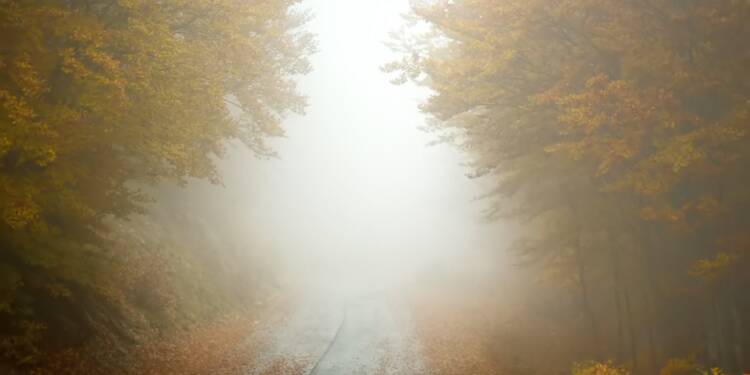 EAttachments9012410b9fb9d37bdf15a699bc071ce49baea53 xl