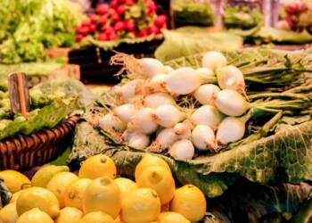 EAttachments9012633fec131c290b80b12553ced502e3a5835 xl