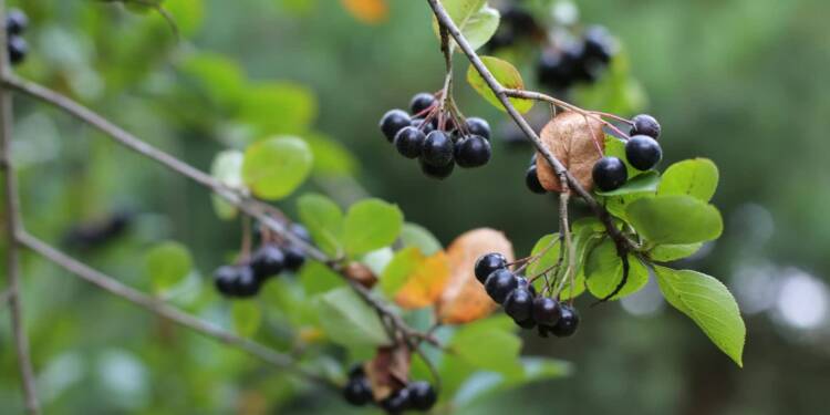 EAttachments901352378b36e8e3f8e8712b7e79c37a5458f3c xl