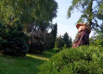 EAttachments90139762b914b18e84b624ba3515b0c9a38b3cb xl