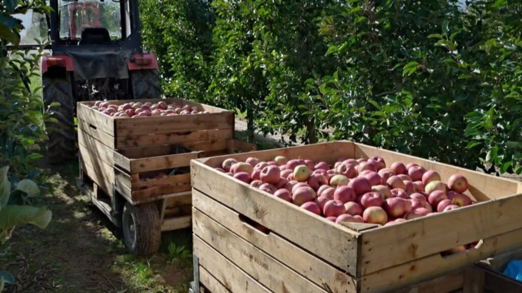 Wypadek podczas prac rolnych. 58-latka została ranna 3 EAttachments9014851c613b41dbcf3969c80ca8ceeb456dcba xl