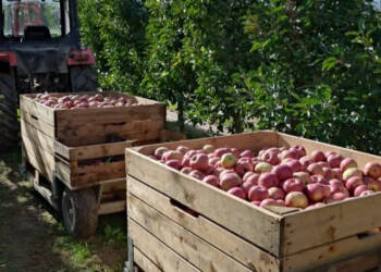 EAttachments9014851c613b41dbcf3969c80ca8ceeb456dcba xl