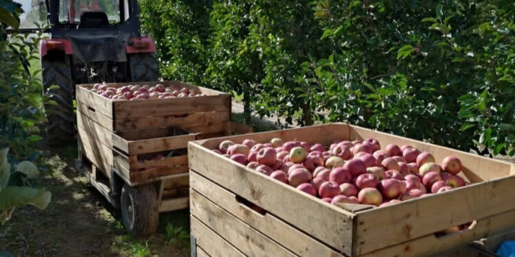 Wypadek podczas prac rolnych. 58-latka została ranna 1 EAttachments9014851c613b41dbcf3969c80ca8ceeb456dcba xl