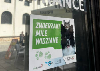 Miejsce przyjazne zwierzętom. Dołącz do akcji! 3 EAttachments9016030e6eba222167683377a6365fcad1a3ed4 xl