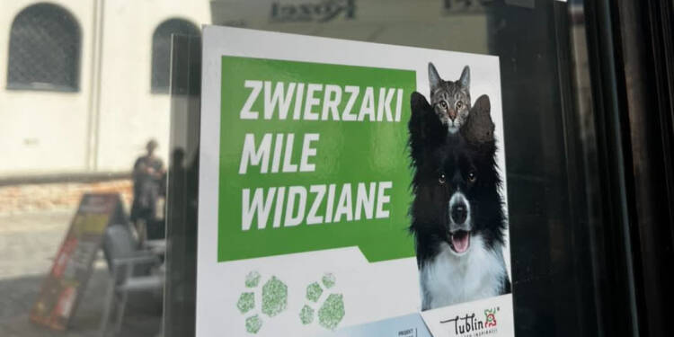 EAttachments9016030e6eba222167683377a6365fcad1a3ed4 xl