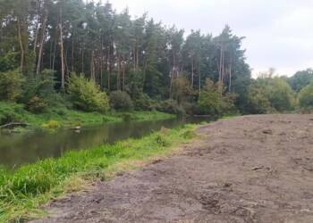 EAttachments9016078a182816c61e944fda74a6b19691c308e xl