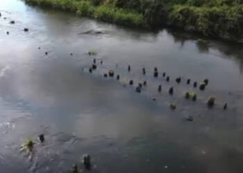 EAttachments9016580637f015d369a55f57f27d9c5b8502a38 xl