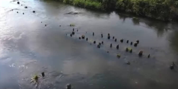 EAttachments9016580637f015d369a55f57f27d9c5b8502a38 xl