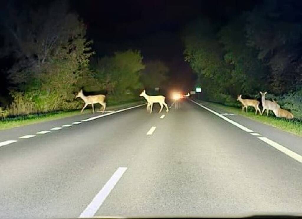 EAttachments90170518c6fbc4704d55f7e290c14d4cefda417 xl