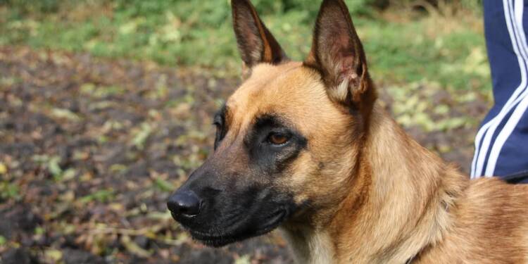 EAttachments90181913036cc6712439b48b8dfe5e2011b3a8e xl