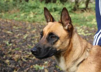 EAttachments90190053036cc6712439b48b8dfe5e2011b3a8e xl