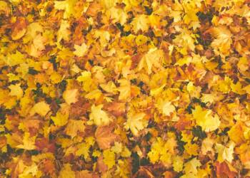 EAttachments902037000d00461c2b5ab4371283355b785ea64 xl