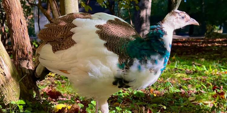 EAttachments9021289348c841992e66c965d009a3dbd164318 xl