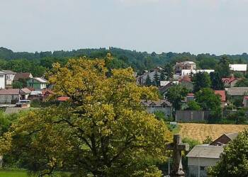 EAttachments9021701ec77bbae98dca04ec1f0de94b4ef2034 xl