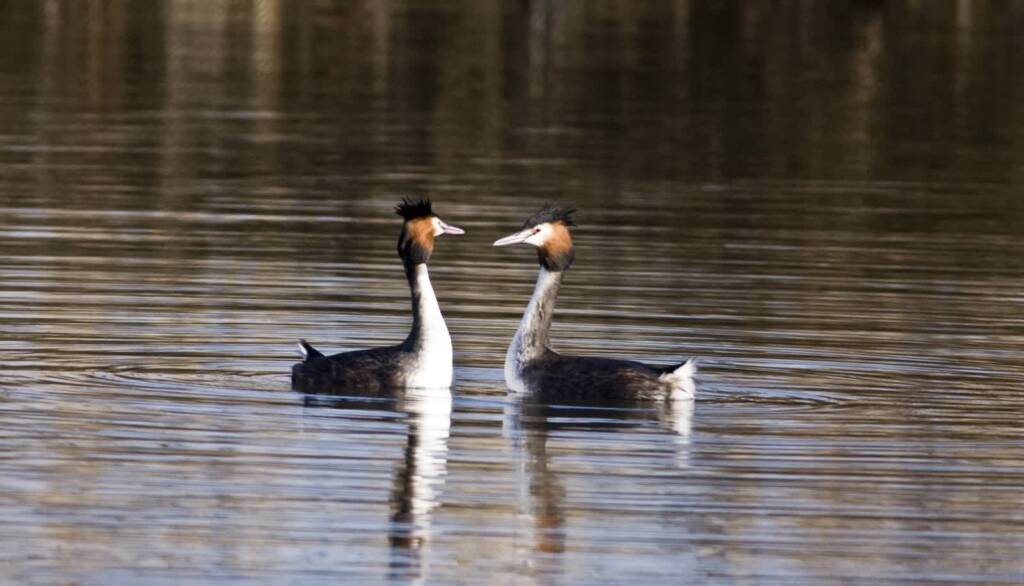 EAttachments9022572db572310e62728d76506a8b703007c8a xl