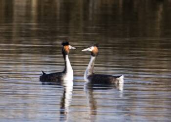 EAttachments9022572db572310e62728d76506a8b703007c8a xl