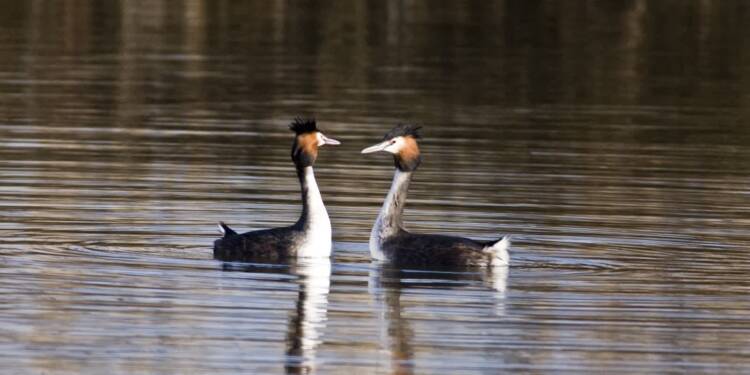 EAttachments9022572db572310e62728d76506a8b703007c8a xl