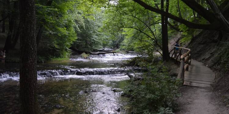 PTTK w Zamościu obchodzi jubileusz. To już 95 lat! 1 EAttachments902277013cc52343a8973c75f8a149c86ee8b67 xl