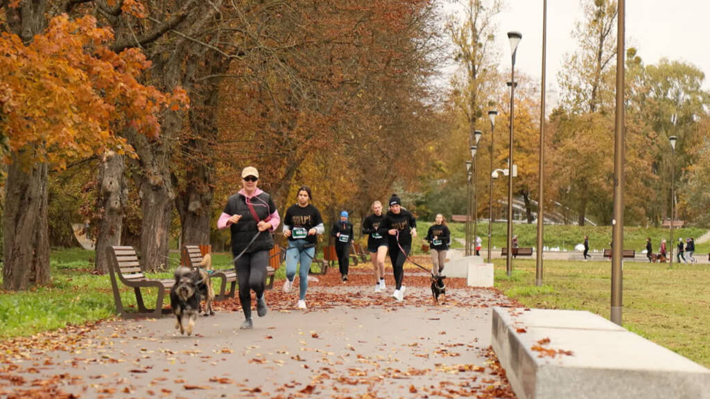 EAttachments90231047e4536fe2f0fa38dfe395080ce361912 xl