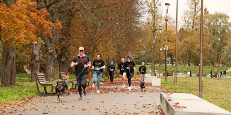 EAttachments90231047e4536fe2f0fa38dfe395080ce361912 xl