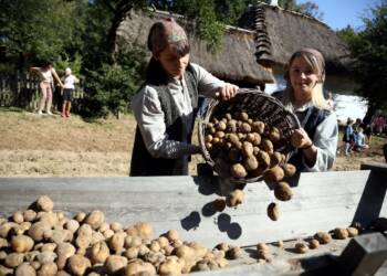 EAttachments902370019d6e7a2781ee026d0eb0926b6c717e6 xl