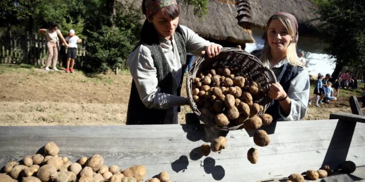 EAttachments902370019d6e7a2781ee026d0eb0926b6c717e6 xl