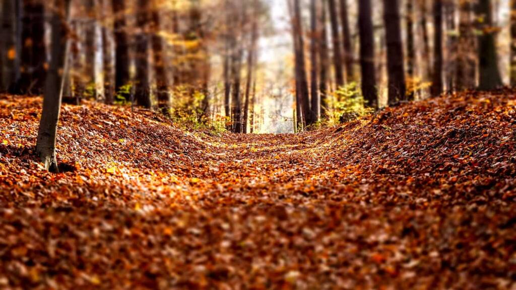 EAttachments90240157a68cedf12be417354f8494db522cac6 xl